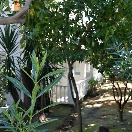 Szálloda Chryssi Akti